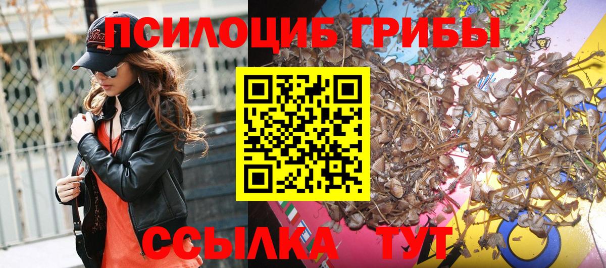 купить наркоту  Псилоцибиновые грибы прущие грибы  Вход с VPN  Елабуга 